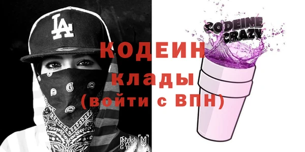 гашик Алексин