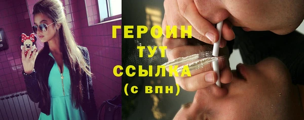 гашик Алексин