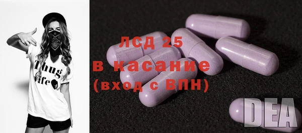 гашик Алексин