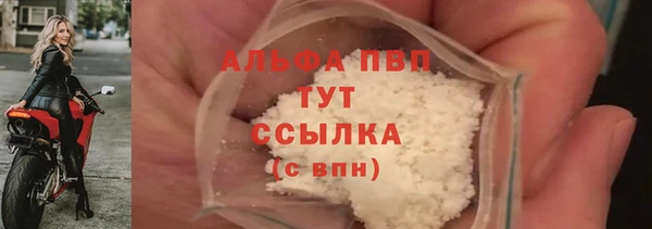 гашик Алексин