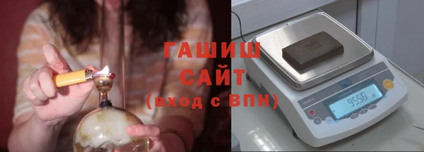 гашик Алексин