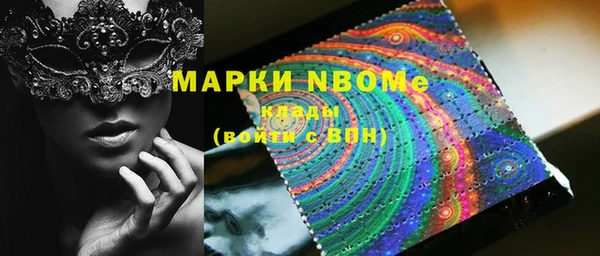 гашик Алексин